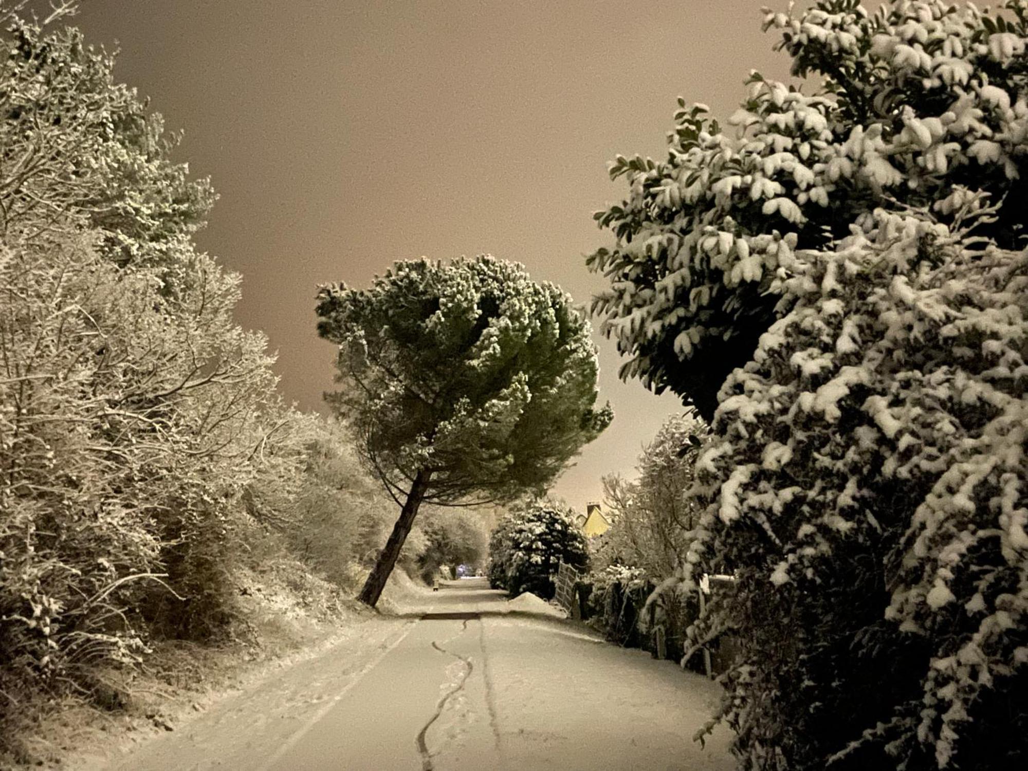 Evergreen Guesthouse Vernon  Esterno foto
