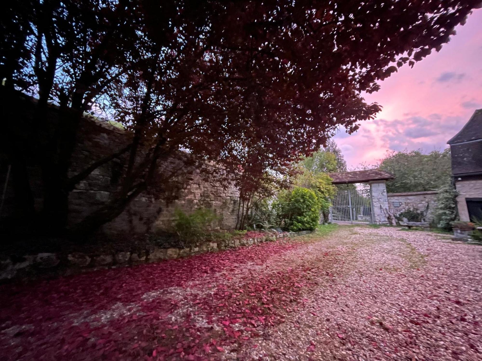 Evergreen Guesthouse Vernon  Esterno foto